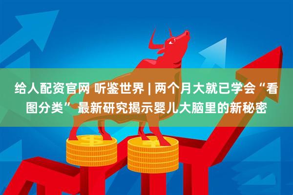 给人配资官网 听鉴世界 | 两个月大就已学会“看图分类” 最新研究揭示婴儿大脑里的新秘密